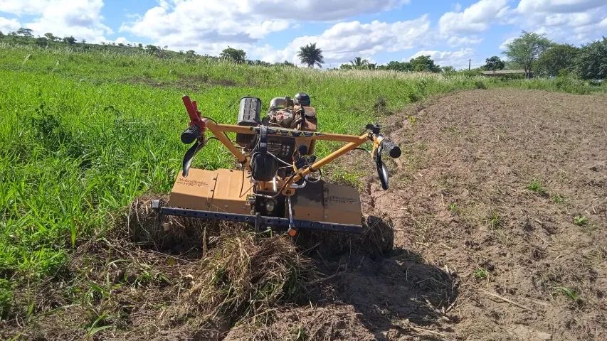 Tratorito Buffalo 10 HP - Diesel Com Carroça - Foto 4