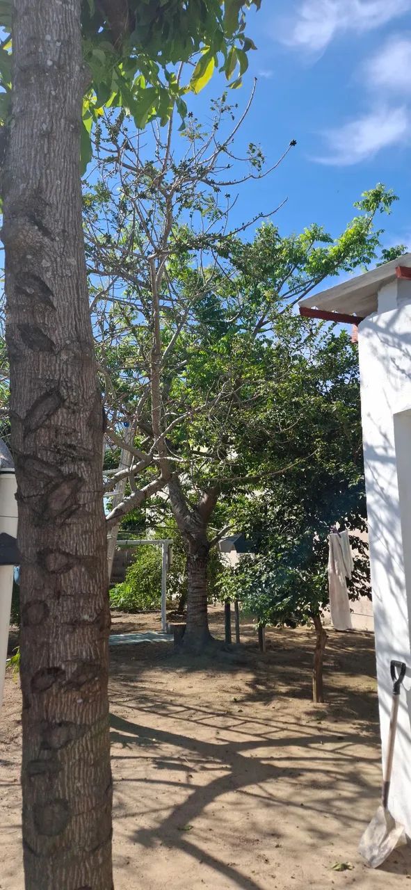 Vendo Terreno com kitnet com Suite em balneário de ponta da fruta. - Foto 4