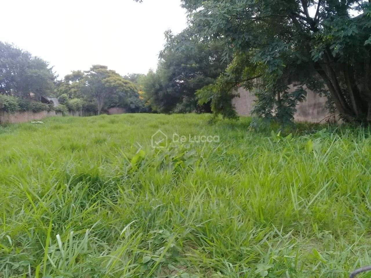 terreno - Parque Taquaral - Campinas - Foto 3
