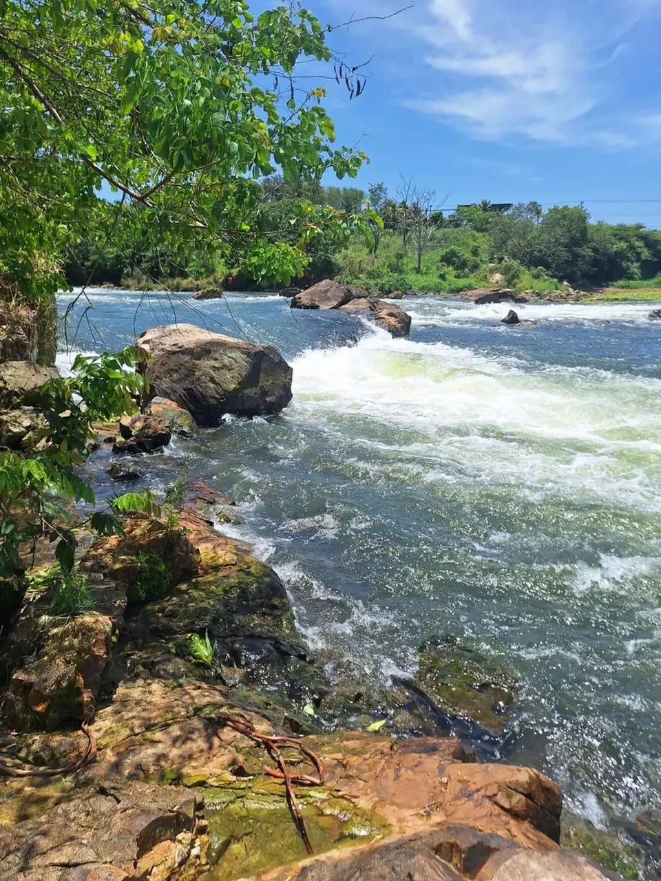 sítio com 14.000m² - Foto 9