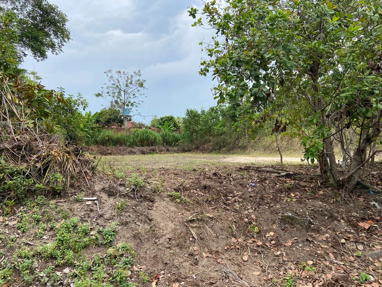 Terreno na Marina Taua  - Foto 2