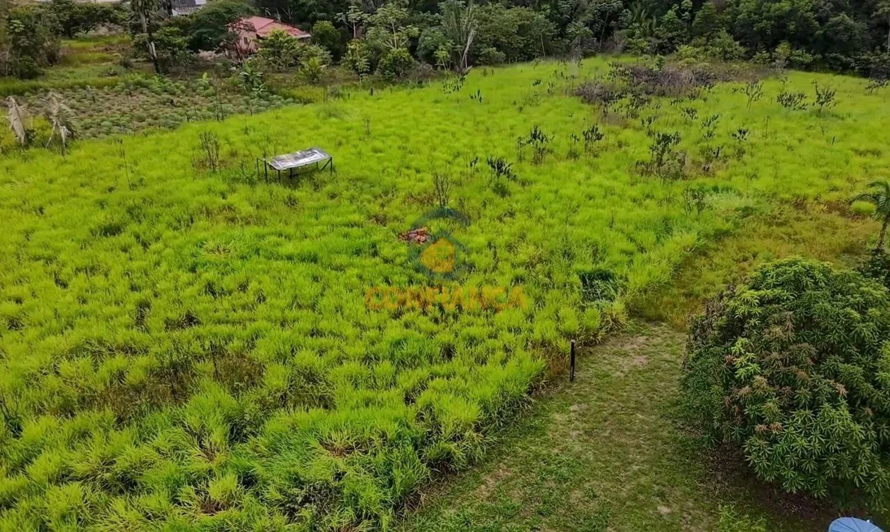 Chácara á Venda- BR 319