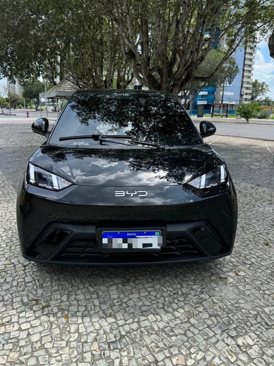 BYD Dolphin Mini (Elétrico) 2026