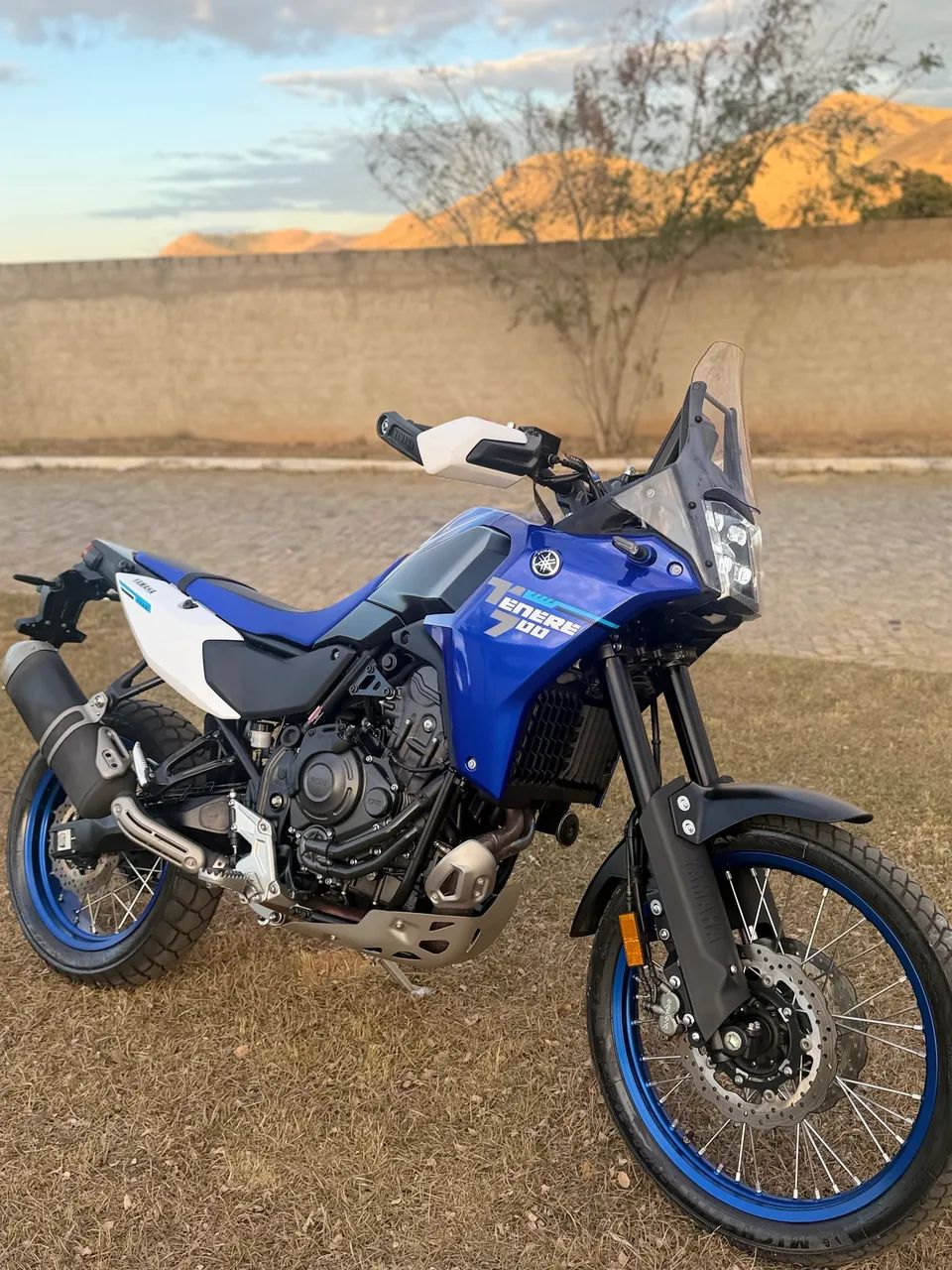 T7 