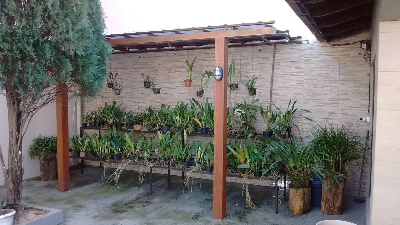 Prateleira para plantas - Foto 5