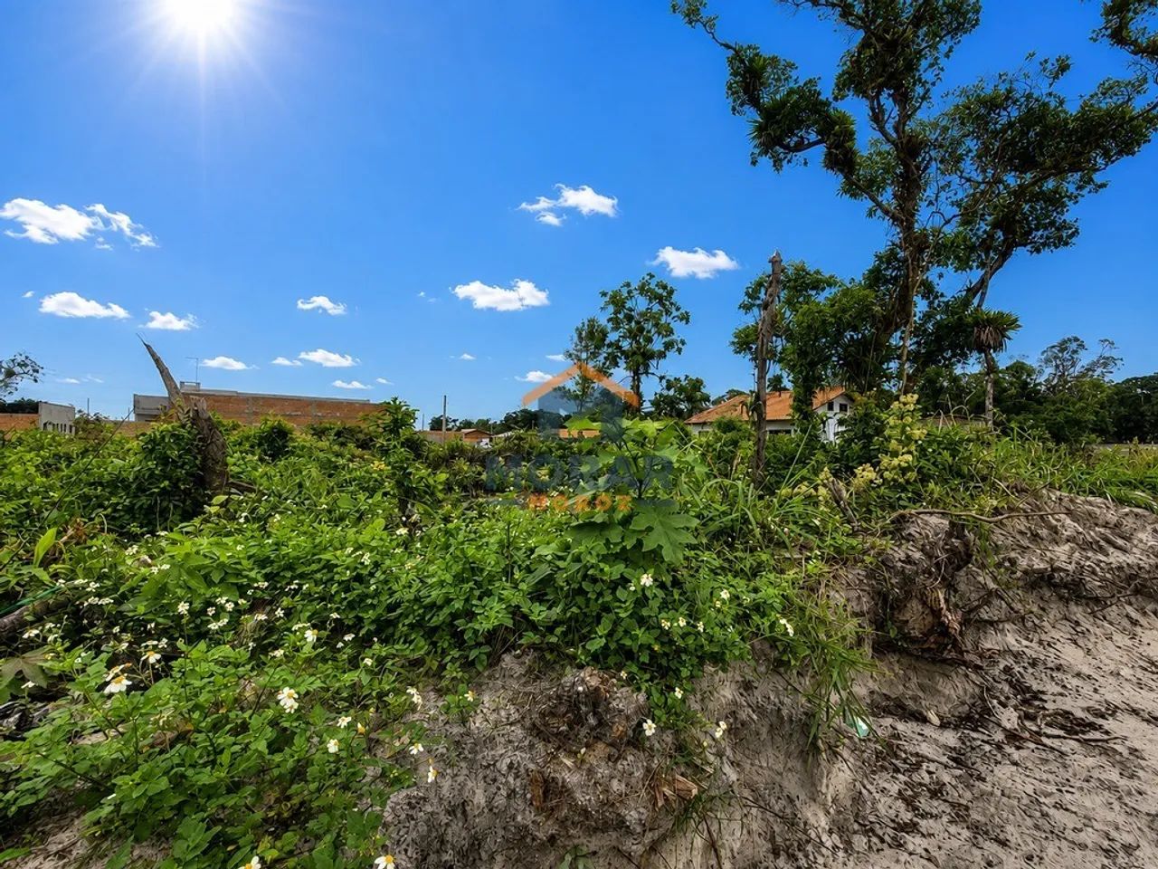 Terreno em Praia de Leste - Foto 3