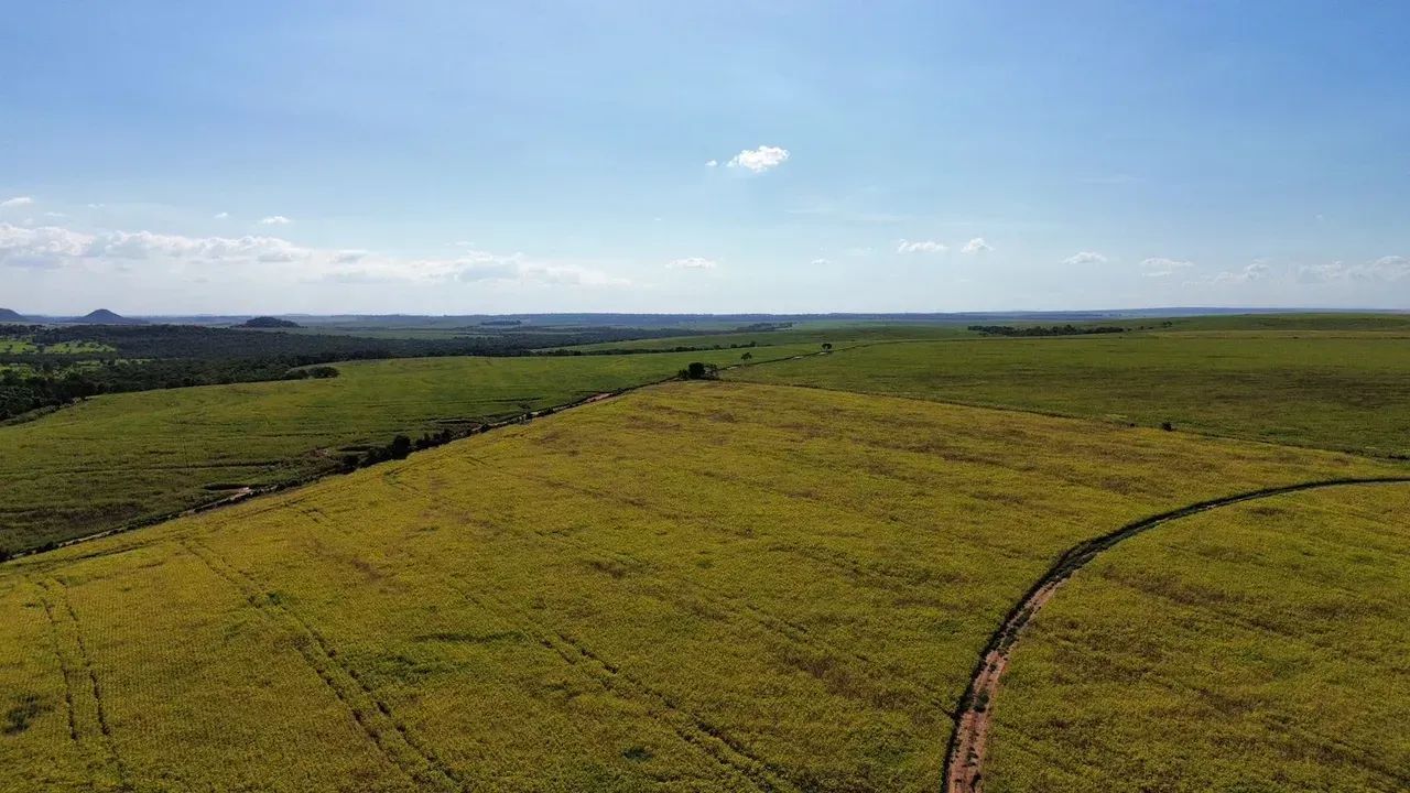FAZENDA COM 1246H A VENDA EM SIDROLANDIA - MS - Foto 4