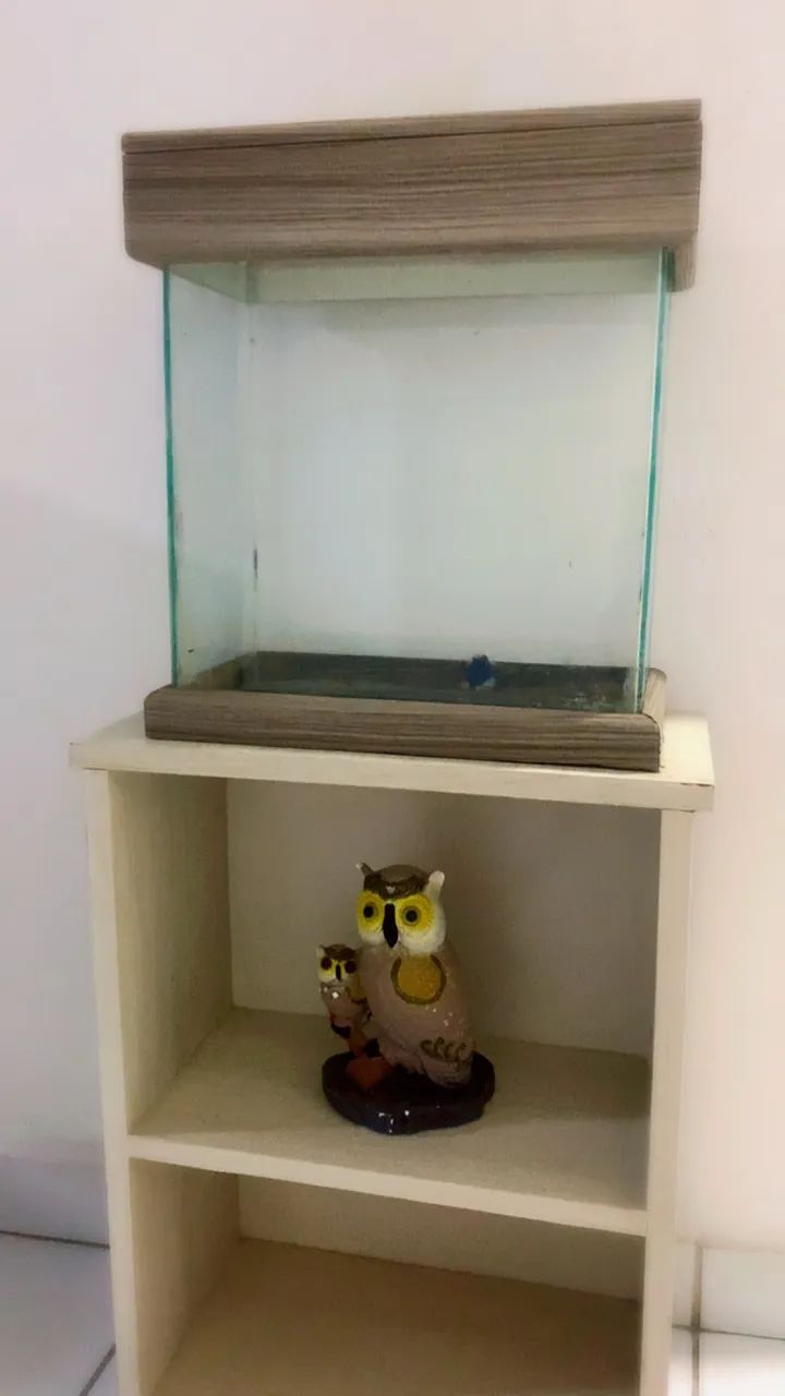 Aquário - Foto 2