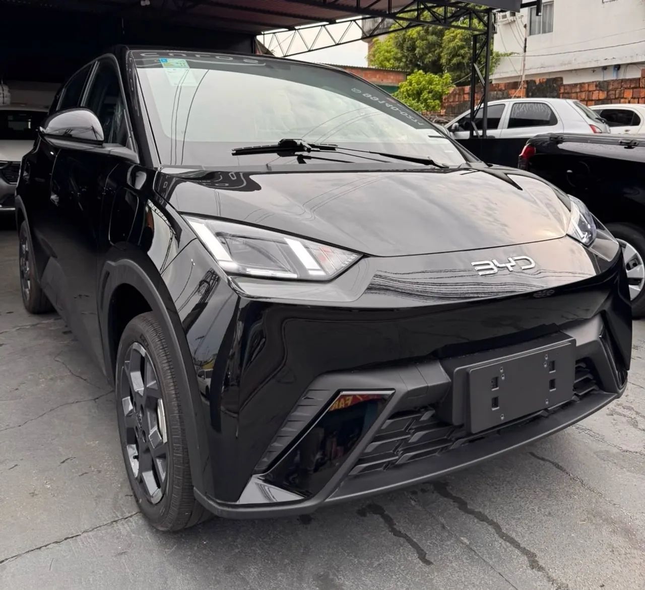 BYD Dolphin Mini GL 2027 - Foto 2