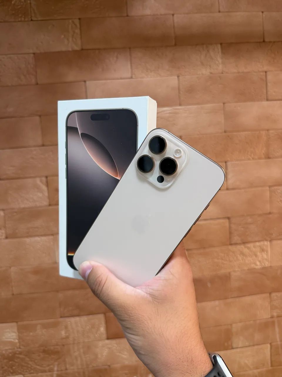iPhone 16 pro maxx 256gb com garantia - entrego pra você 