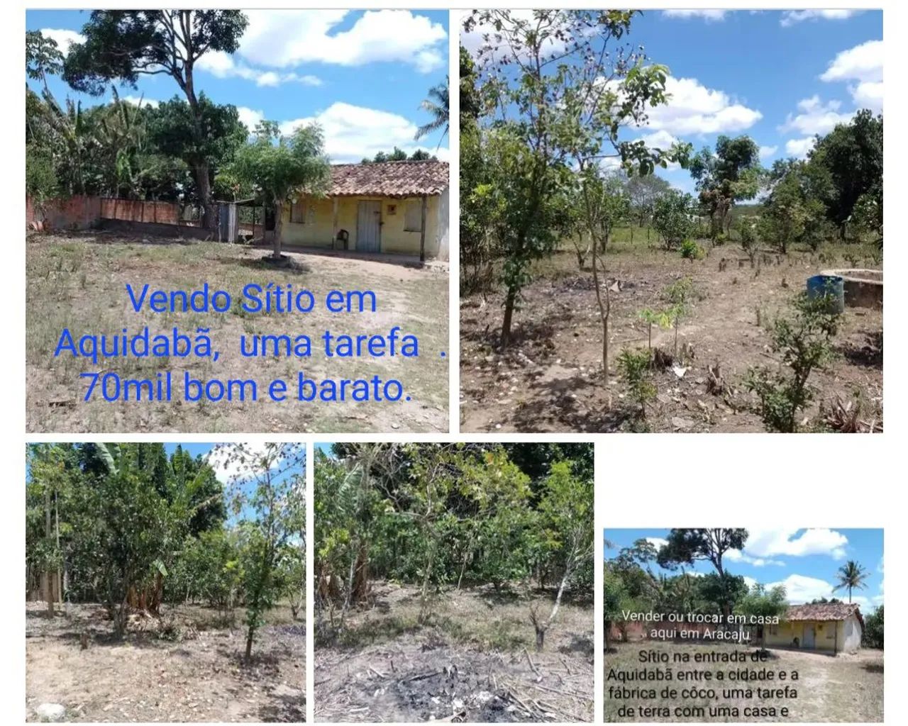 Bom e barato, em Aquidabã 