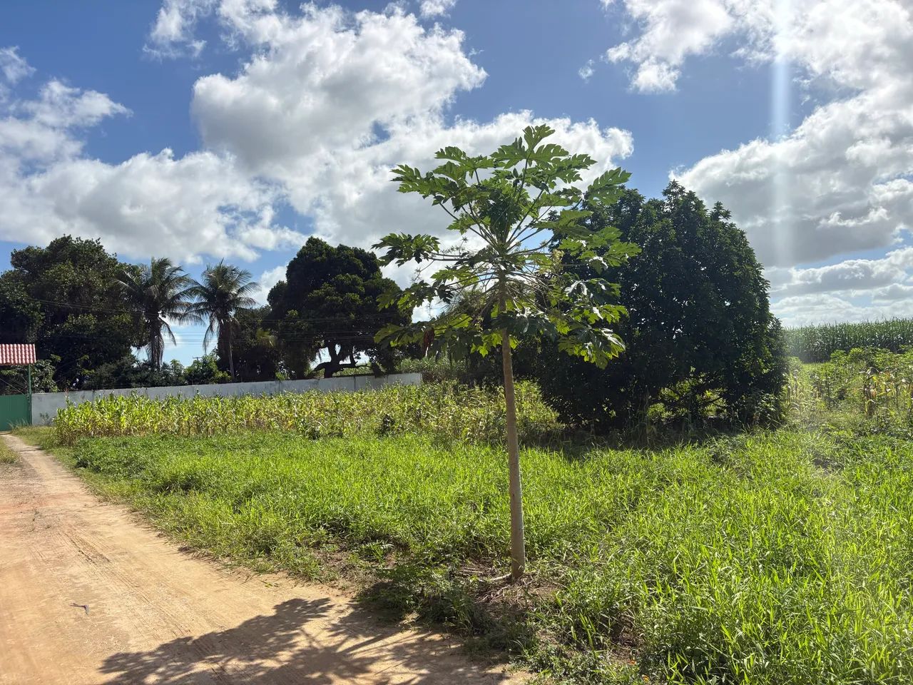 ÚLTIMO TERRENO DISPONÍVEL!  - Foto 4