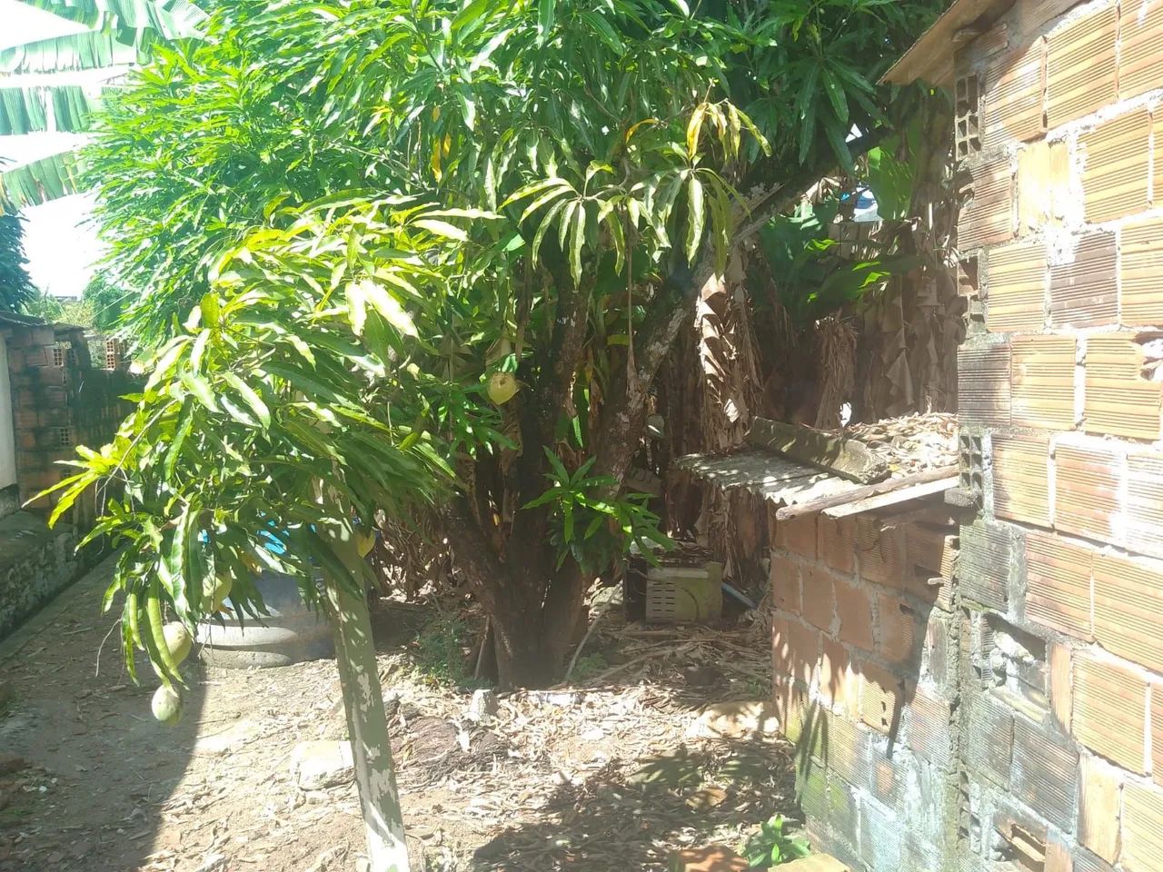 Vendo uma casa  - Foto 5