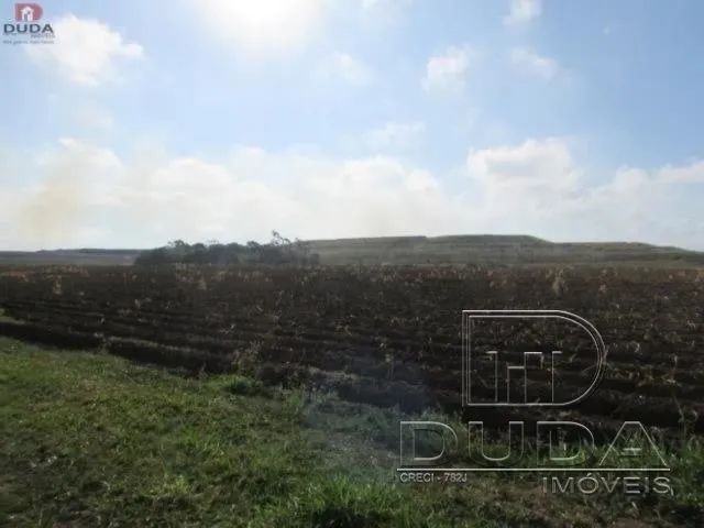 Terreno Rural pronto para plantio. - Foto 3