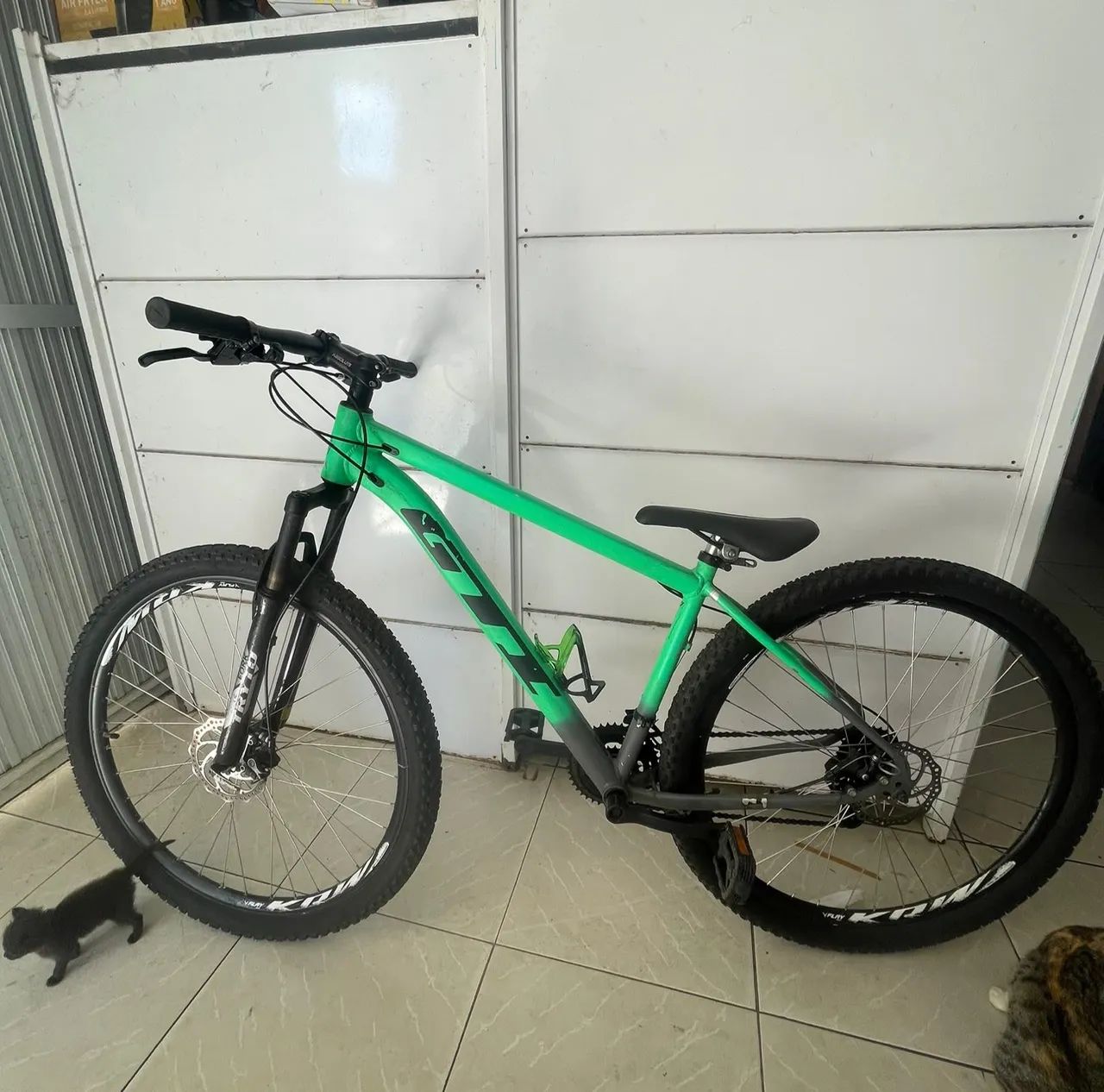 BIKE ARO 29