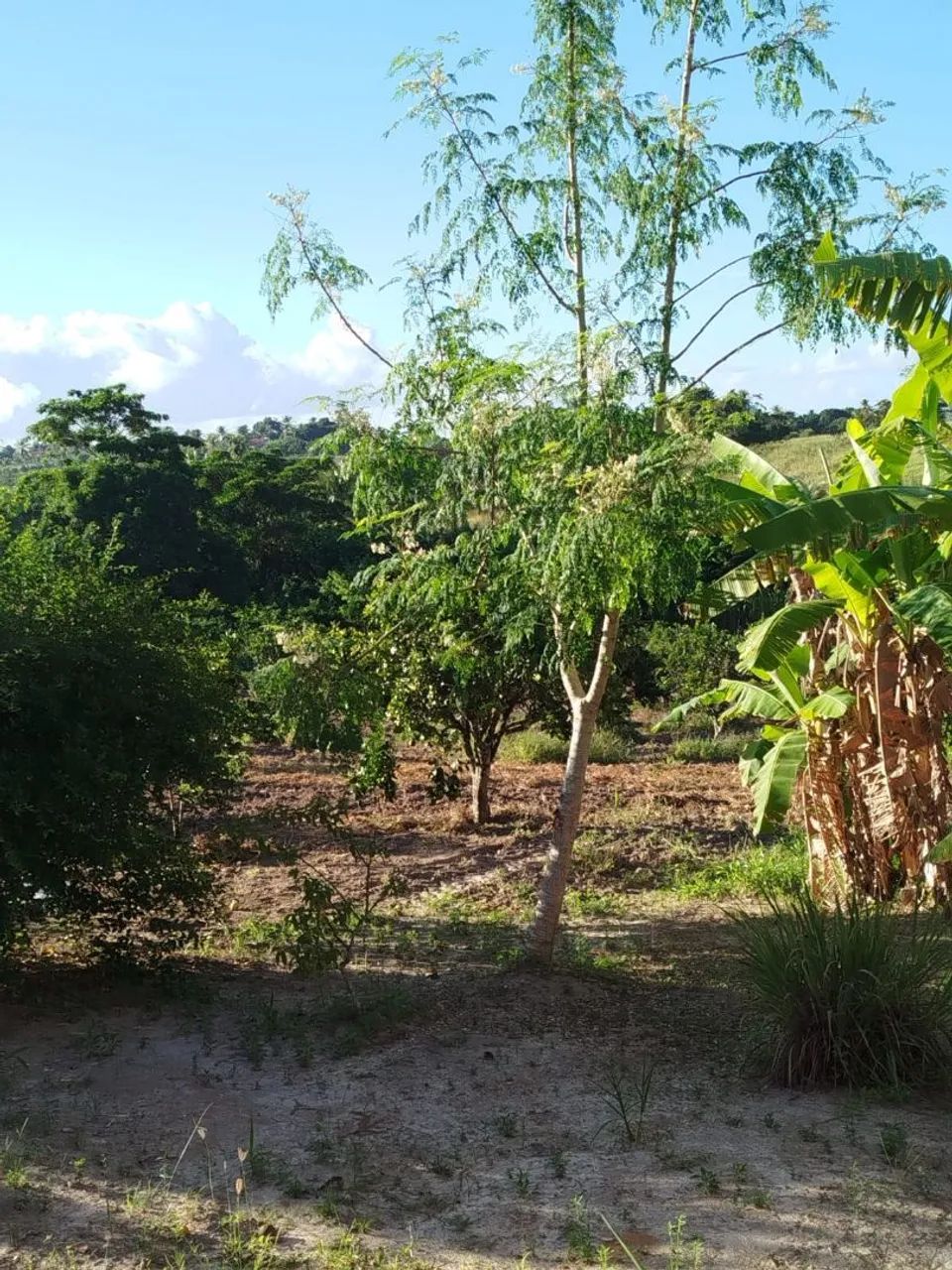 Vendo ou troco - Foto 5