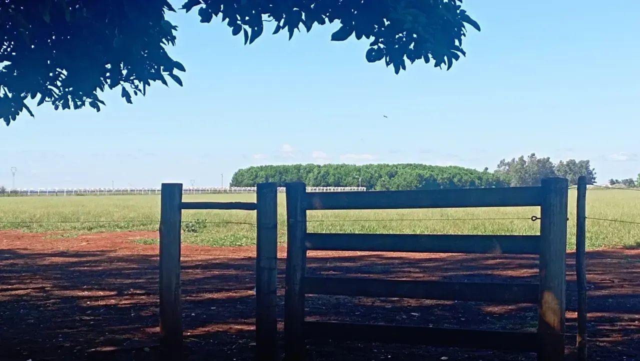 CÓD199  Chácara 10 ha | Indubrasil  Campo Grande/MS