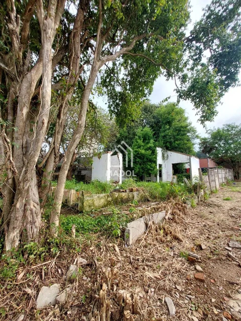 TERRENO NO CENTRO 15x28m - Foto 4