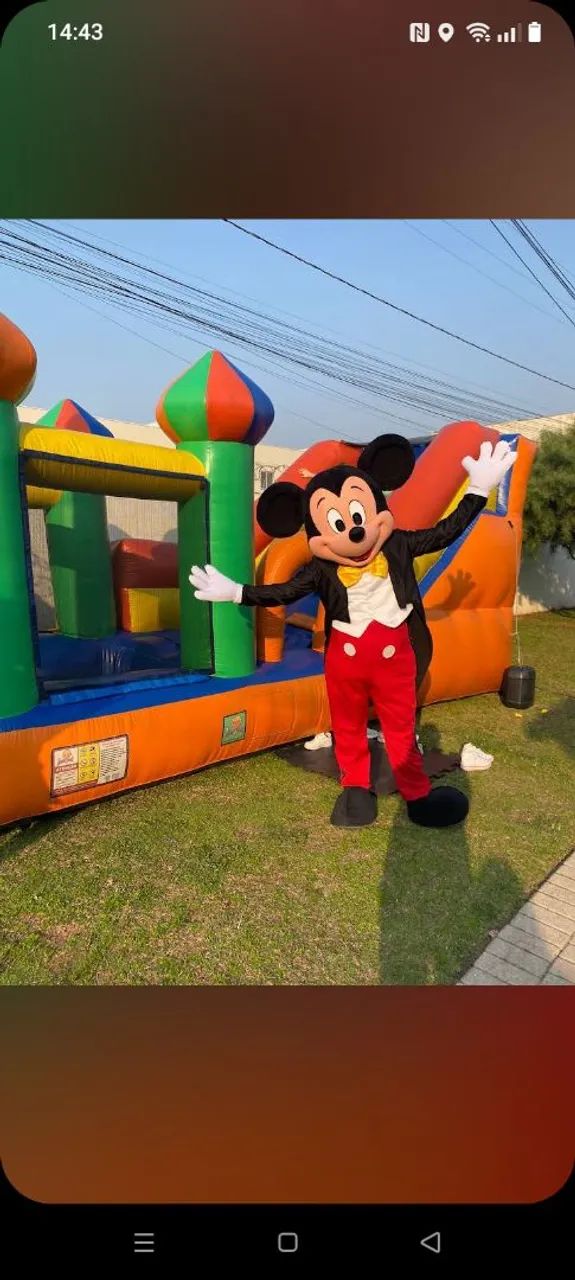 Fantasia Mickey e Minnie  - Foto 4