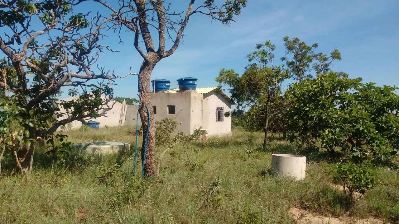 Fazendinha em Curvelo  - Foto 3