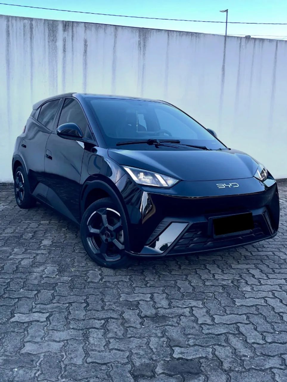 BYD Dolphin Mini 2024