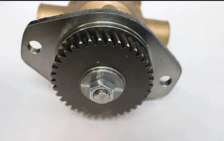 Bomba centrífuga de água salgada Sherwood P1716C - Foto 4