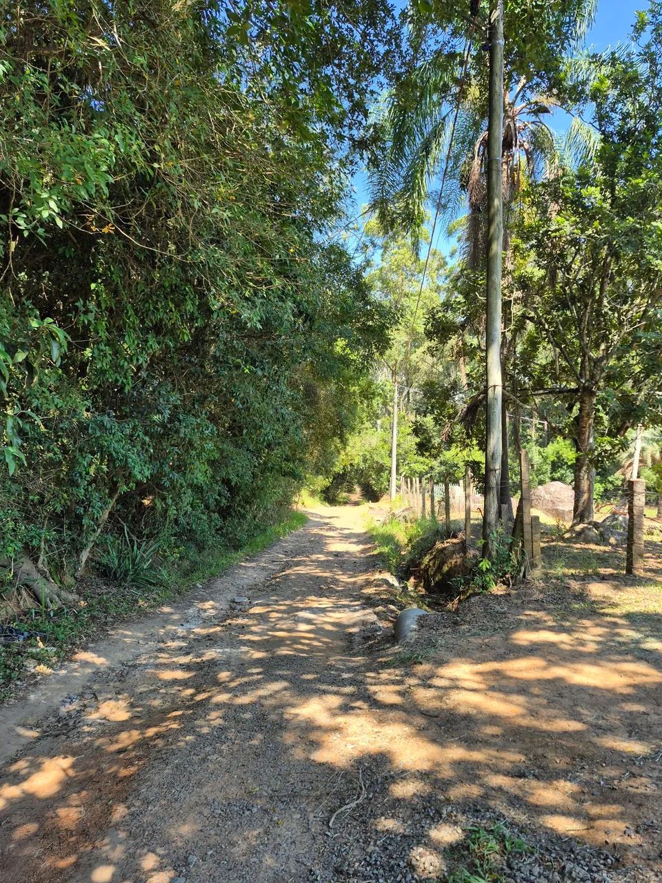 Anúncio  sítio  - Foto 2