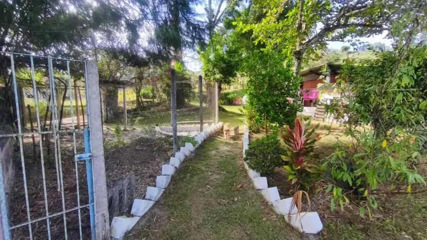 Vendo Chácara em Pia Pitangui  - Foto 3