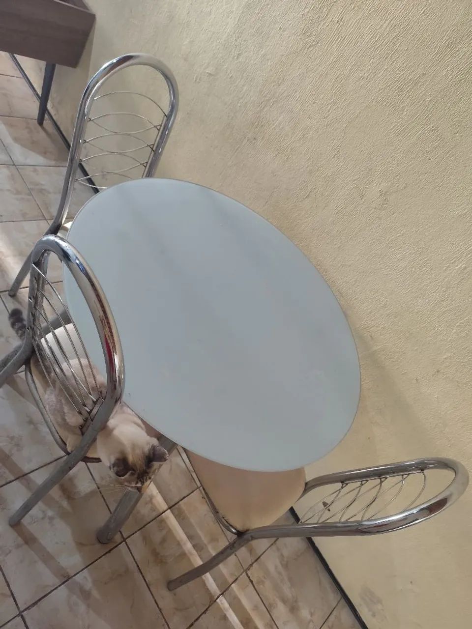 Mesa de Jantar Vidro Redonda com 4 Cadeiras - Foto 2