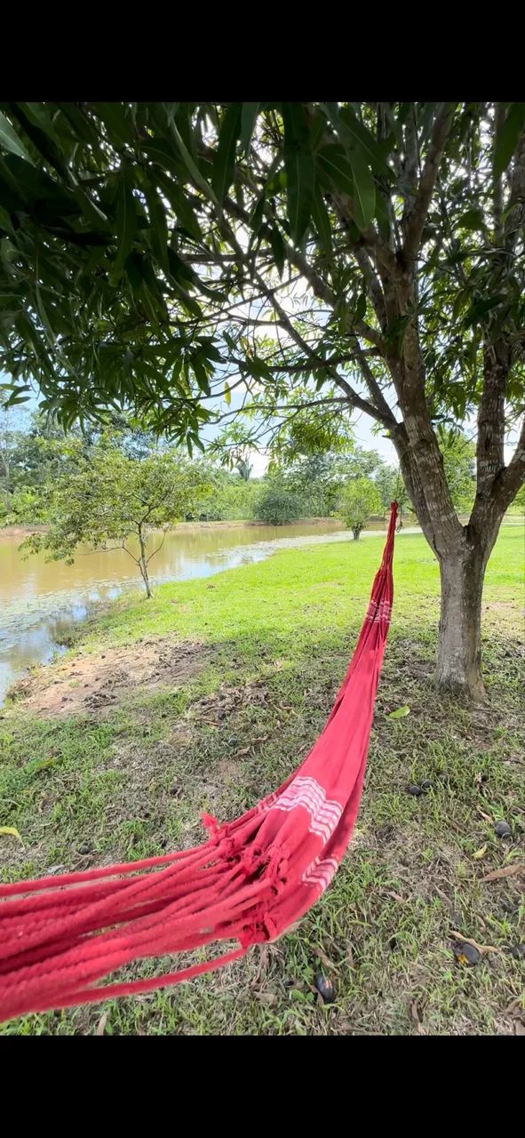 Linda chácara perto da cidade  - Foto 5