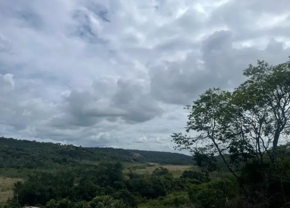 Vendo área rica em Coqueiro Seco