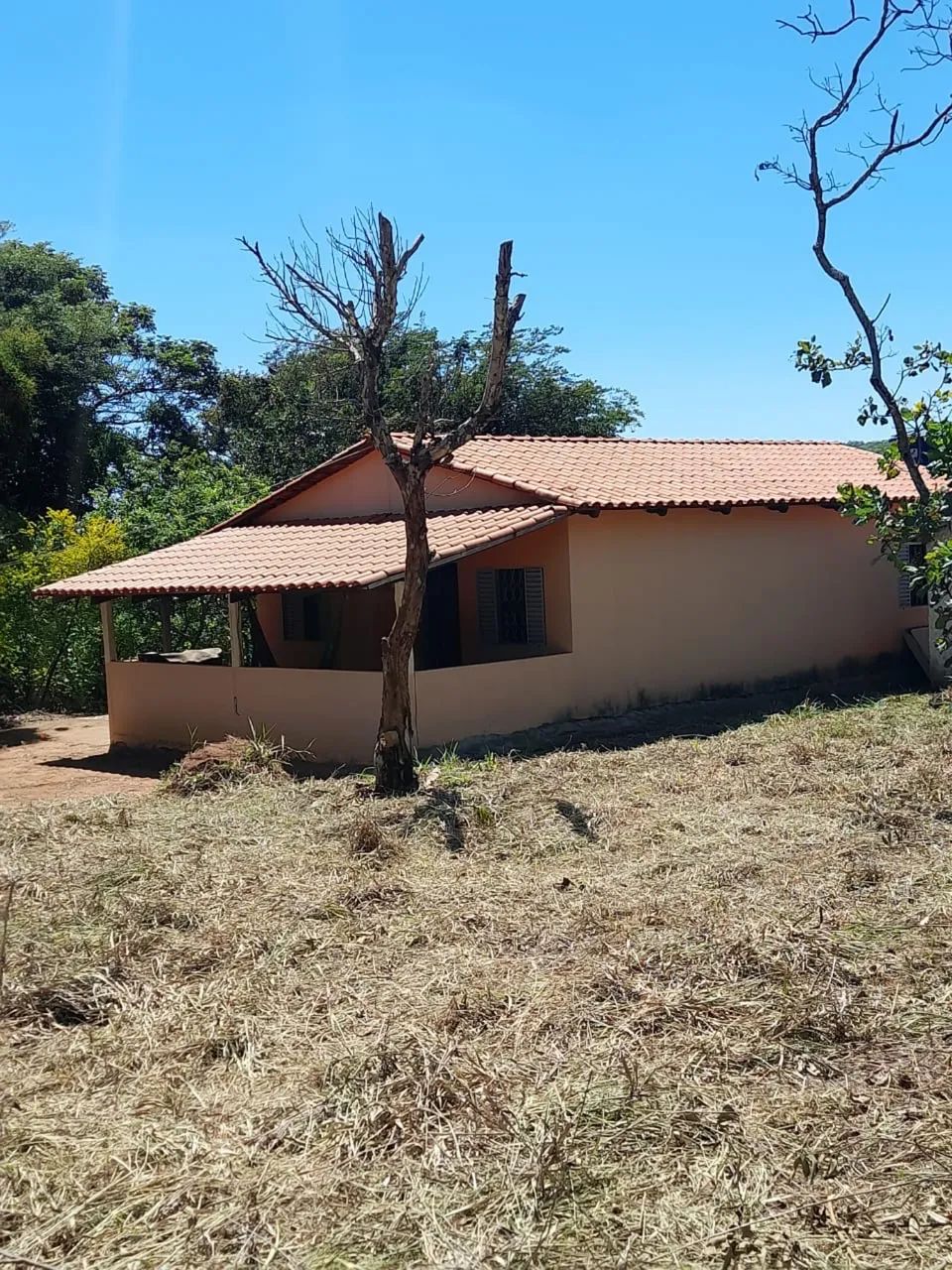 Chácara Juazeiro - Conceição do Pará MG - Foto 5
