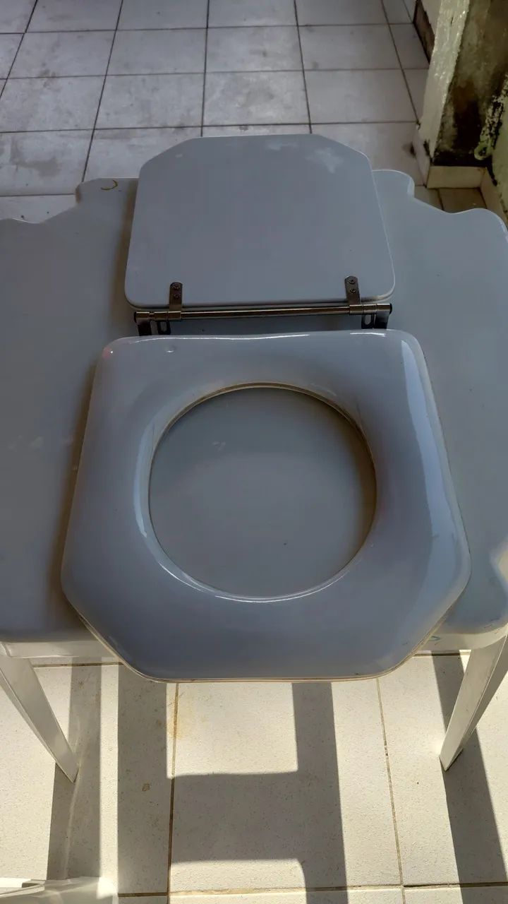 Assento sanitário. 