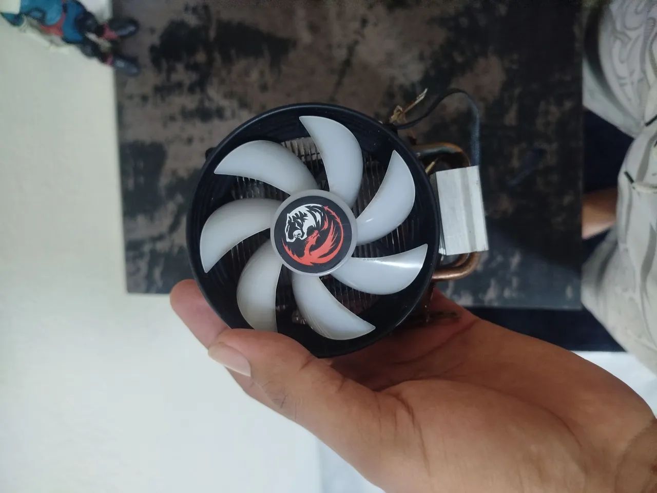 Cooler box 
