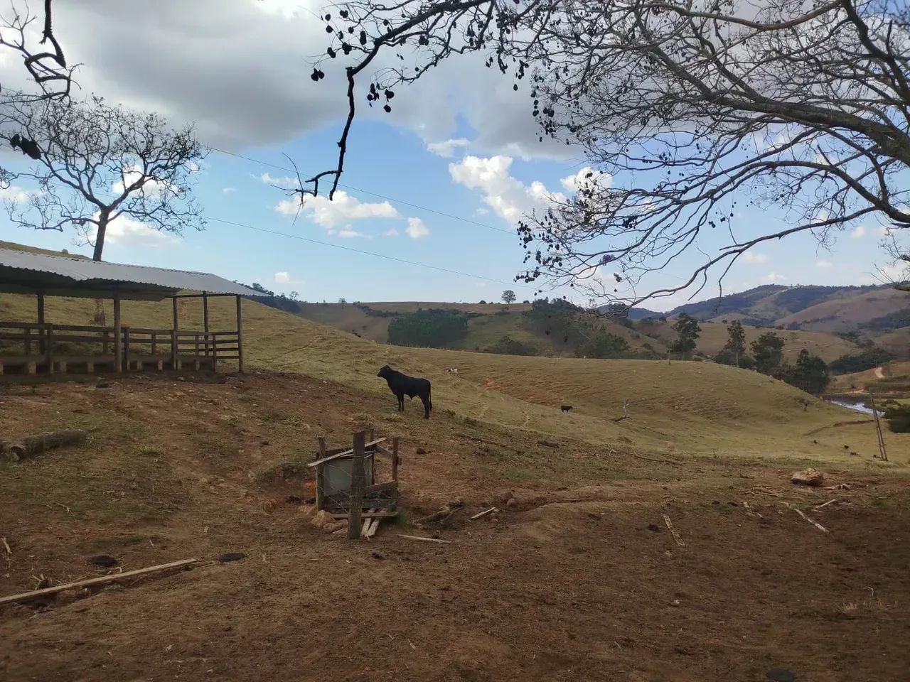 Fazenda em Oliveira /MG 65 hectares café E PLANTAÇOES DIVERSAS,, PODENDO USAR AGUA POR GRA - Foto 16