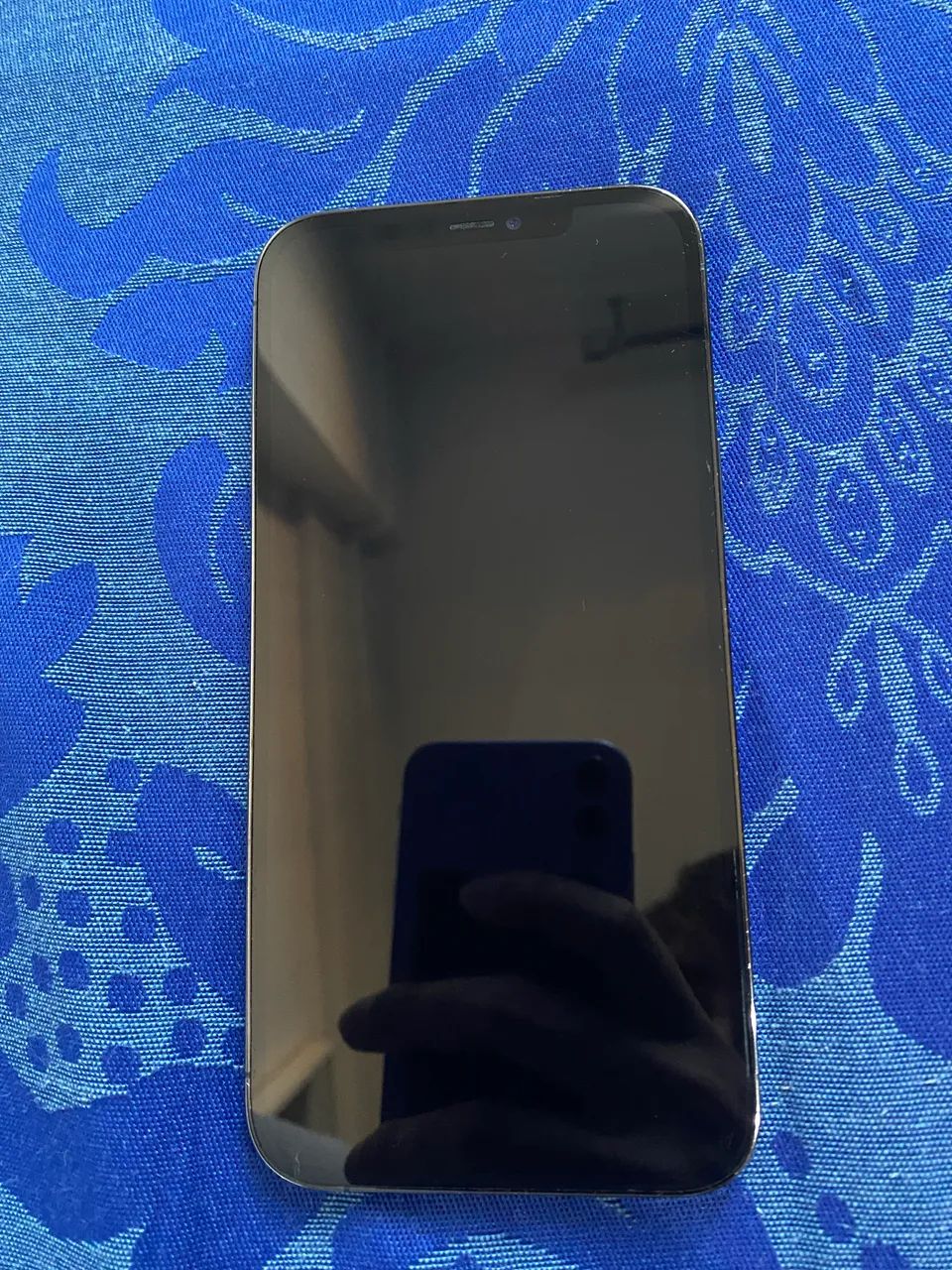 iPhone 12 Pro Max 256GB