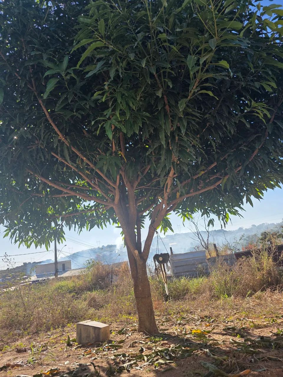 Vende-se lote de 360 m² com construção - Foto 5