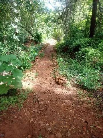 CÓD 546  Pesqueiro à venda  Porteira Fechada  Rochedo/MS