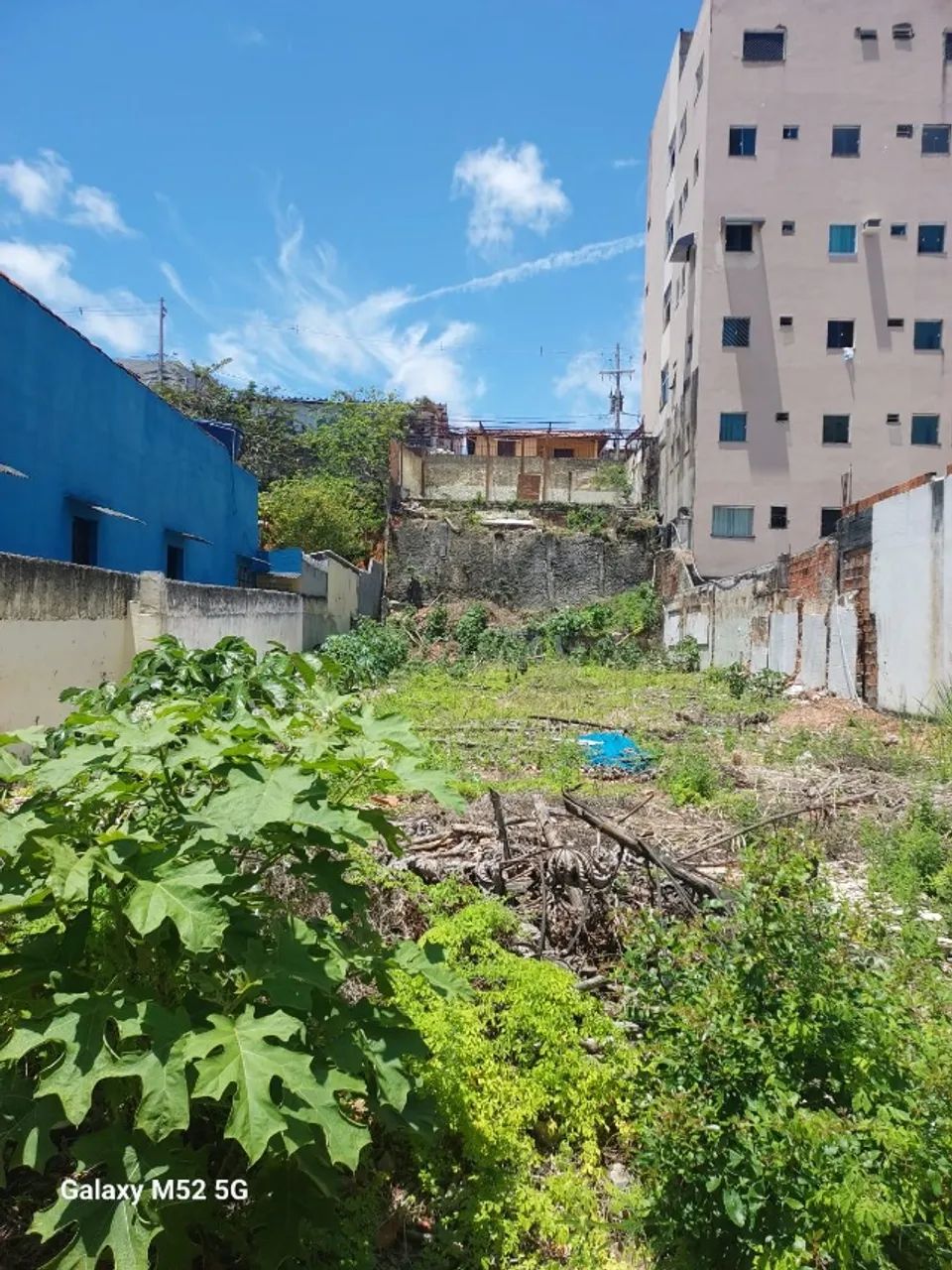 VENDO TERRENO - RUA DA ILHA - Foto 5