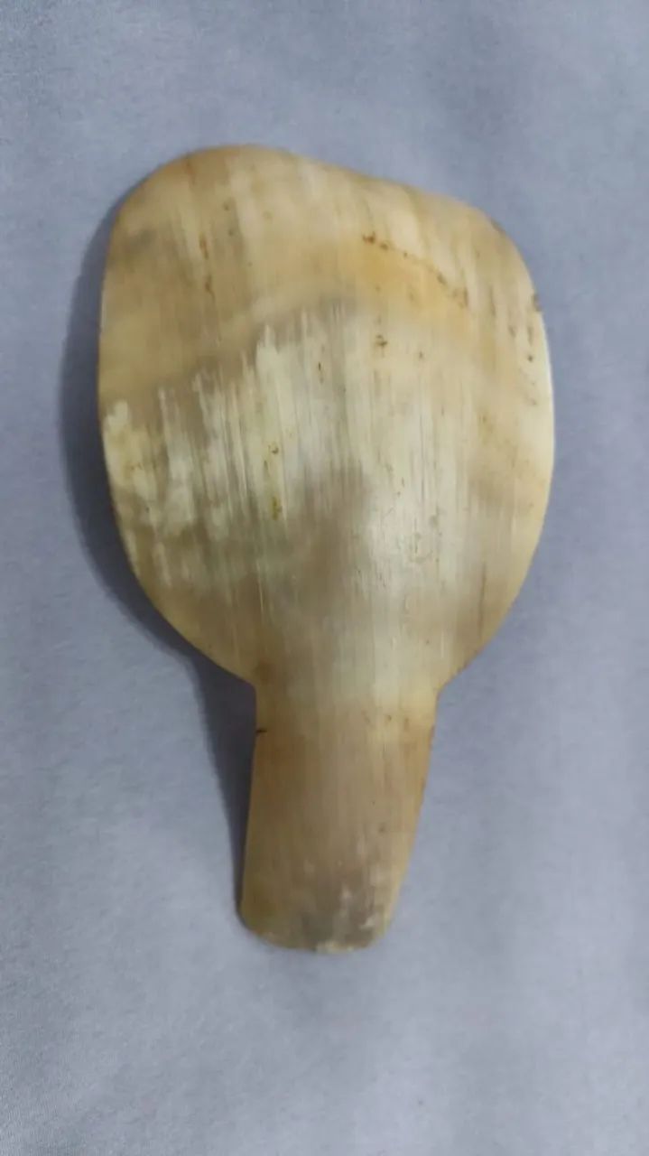 concha artesanal feita de chifre natural