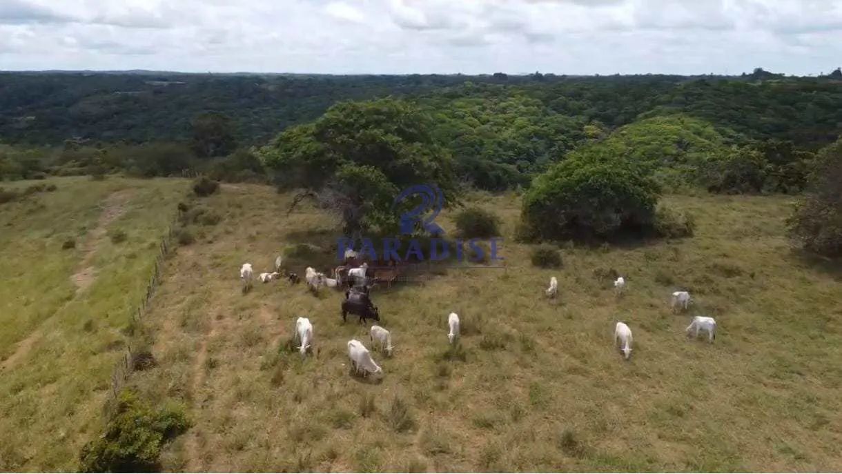 Fazenda, Centro, Cachoeira - R$ 2.91 mi, Cod: 68954 - Foto 5