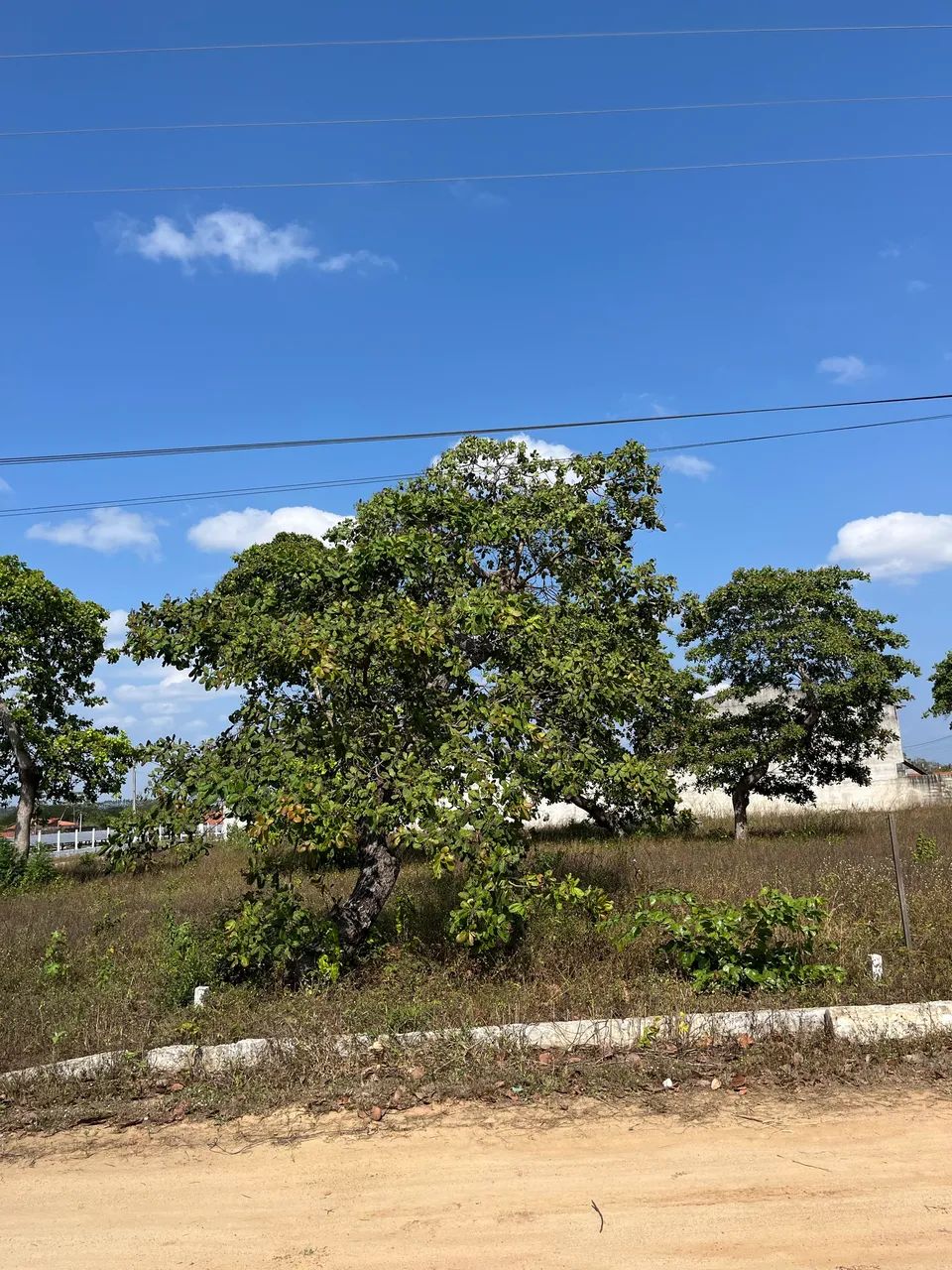 Terreno a Venda em Pacajus ? - Foto 5