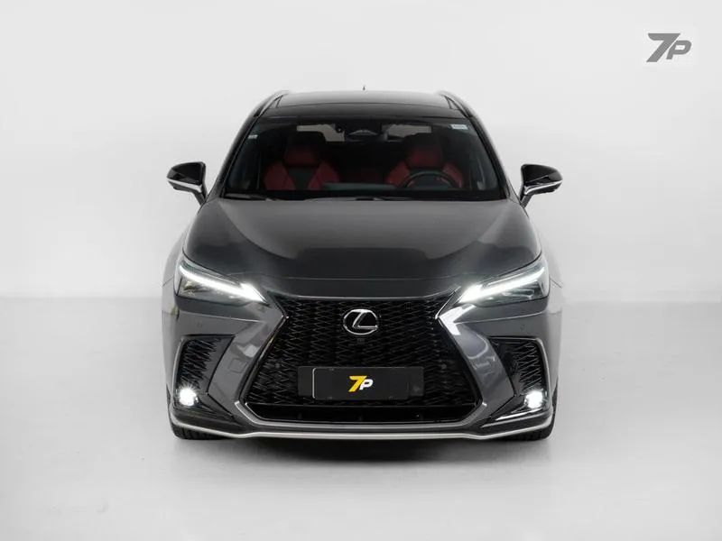 Lexus NX-350h F-sport 2.5 16V Aut. (hybrid), foto 15 de 18