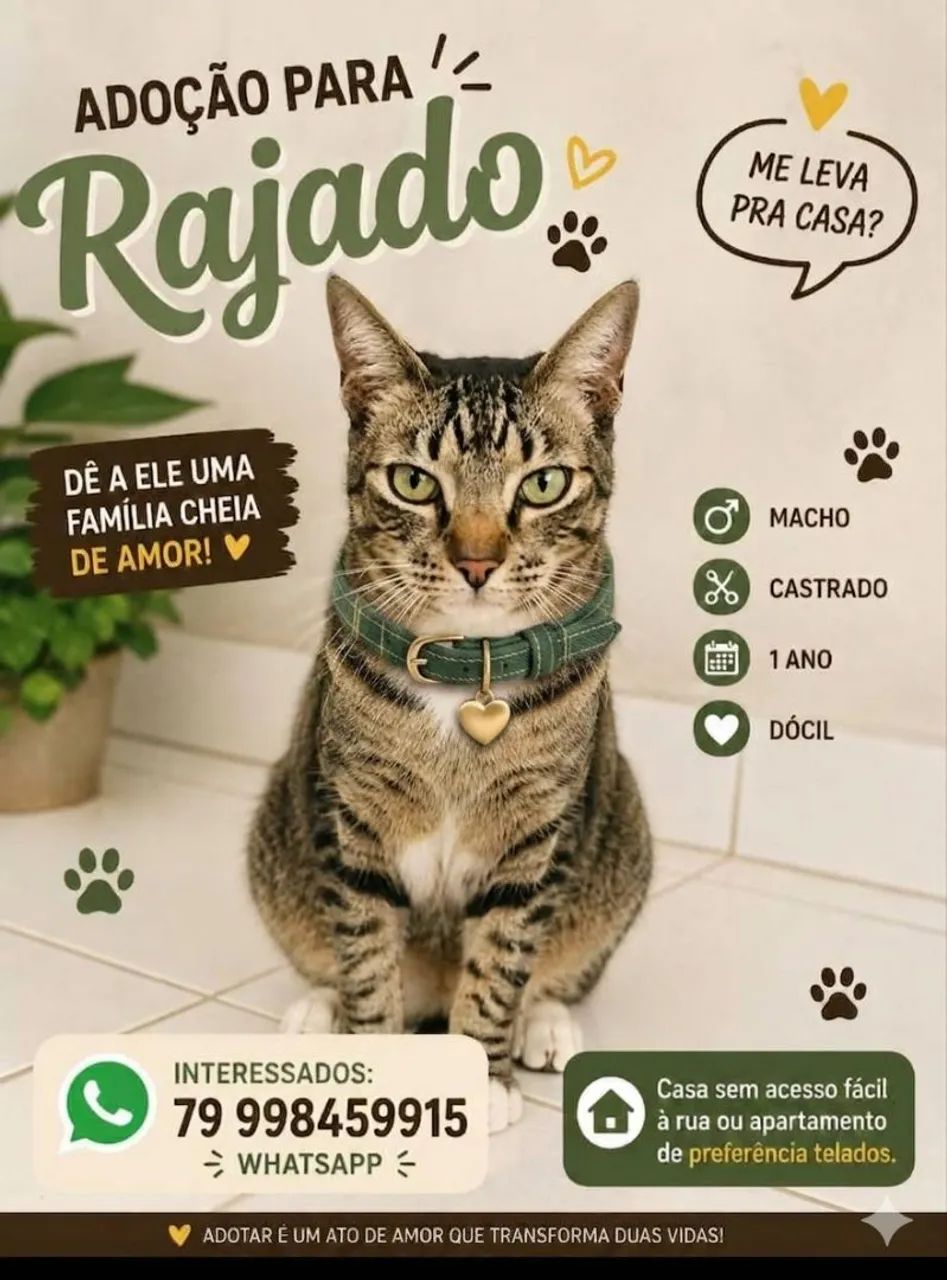 SÓ FOFURAS - Foto 4