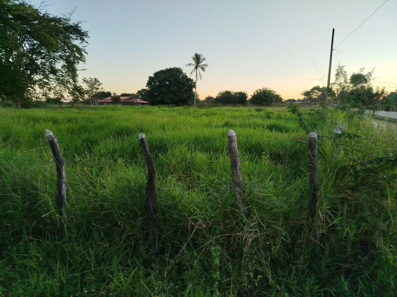 Foto - Salvador - Jardim Armação