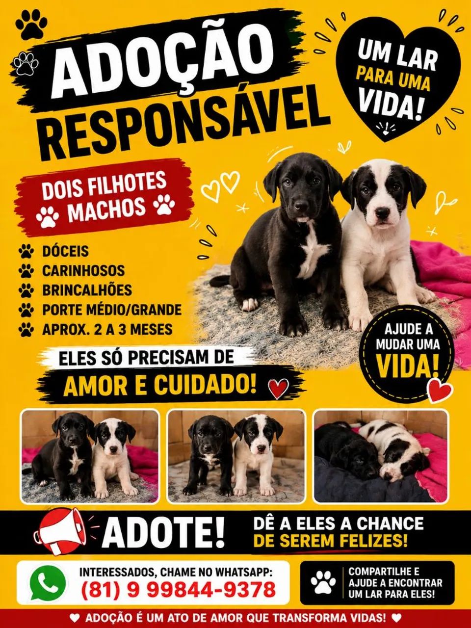 Cachorrinhos