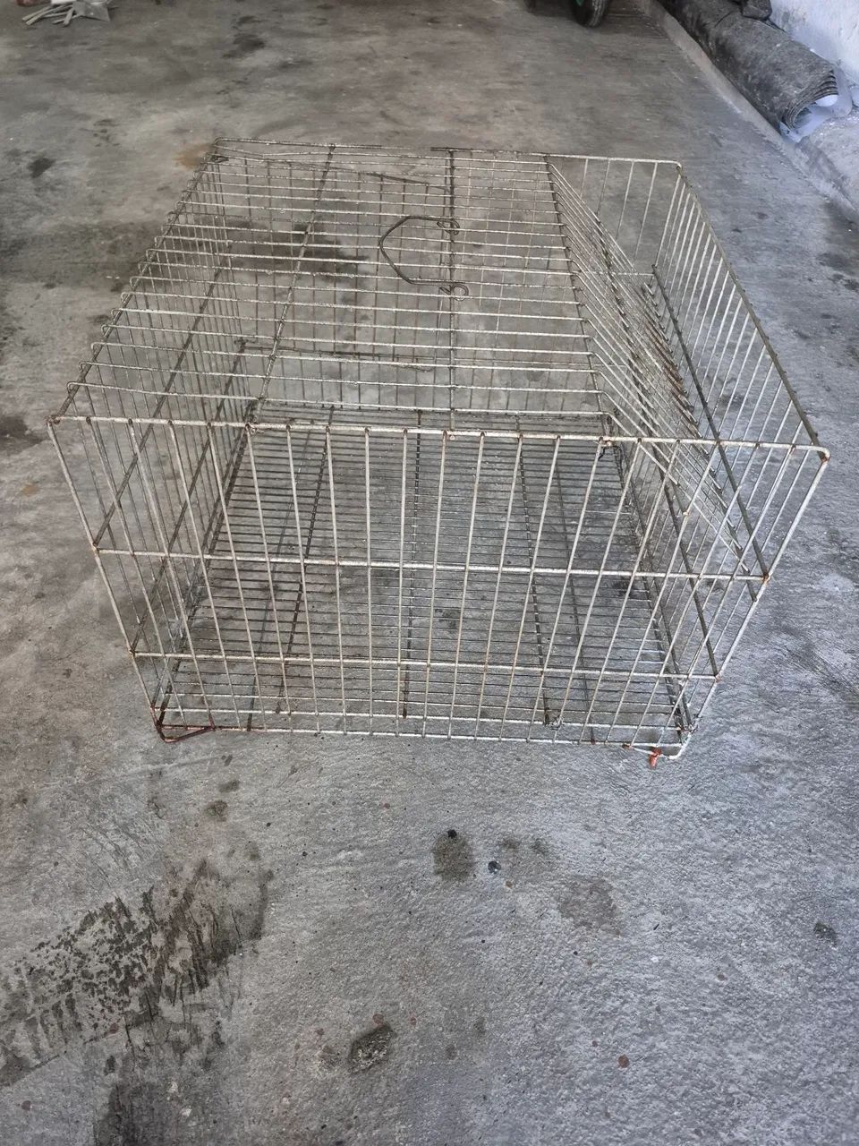 Gaiola para coelho
