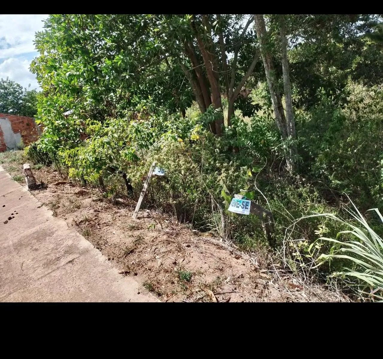 Terreno 