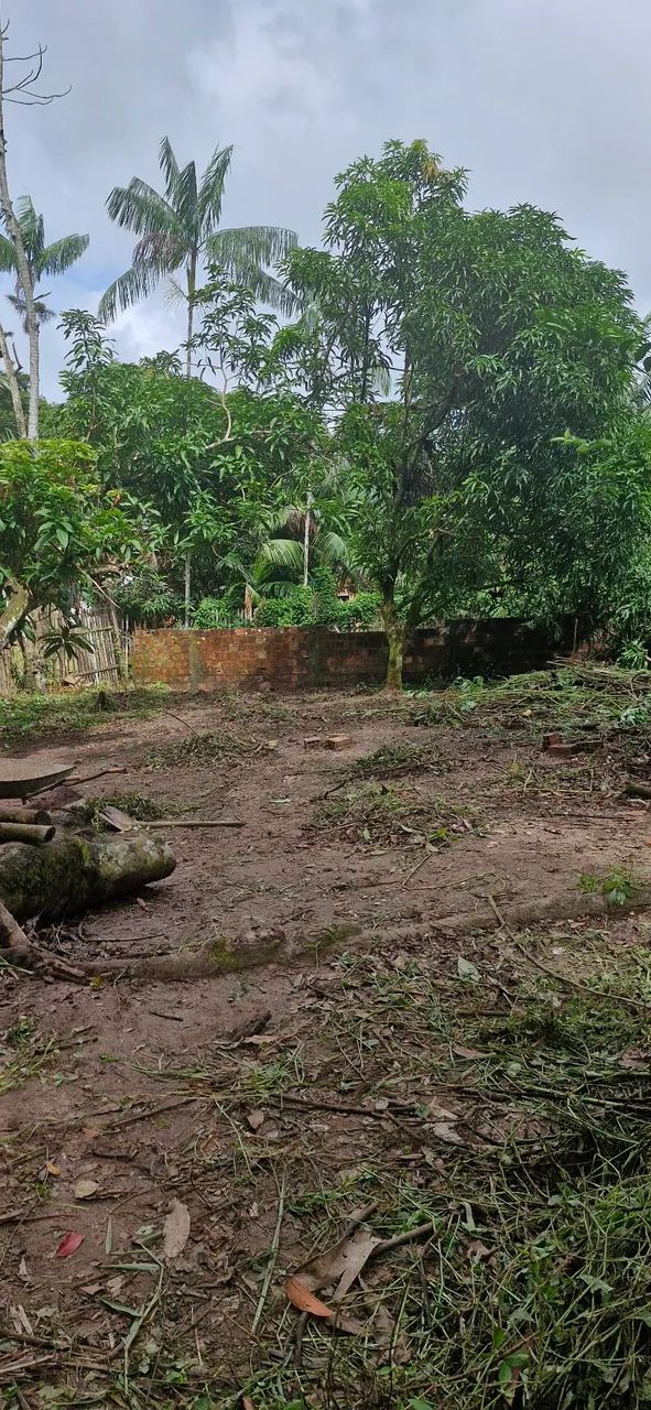 Terreno em bairro: Santa Maria. - Foto 5