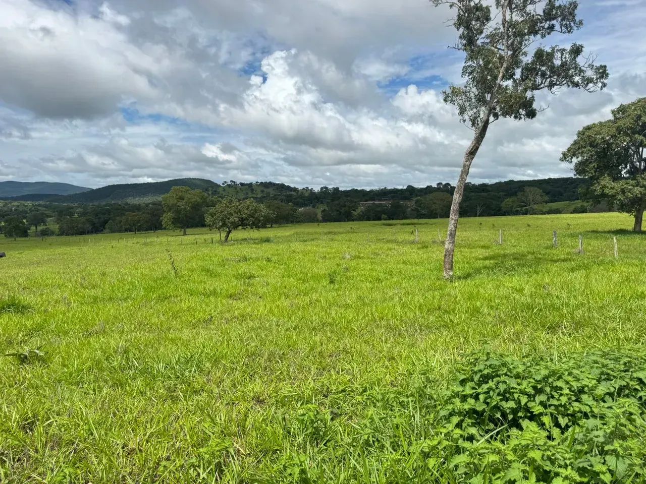 SÍTIO À VENDA  PIRINÓPOLIS / GO - Foto 2